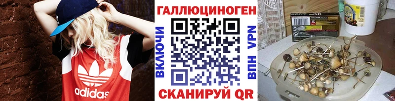Псилоцибиновые грибы Psilocybine cubensis  Купить закладки  Североуральск 